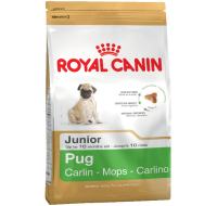 Pug Junior Royal Canin